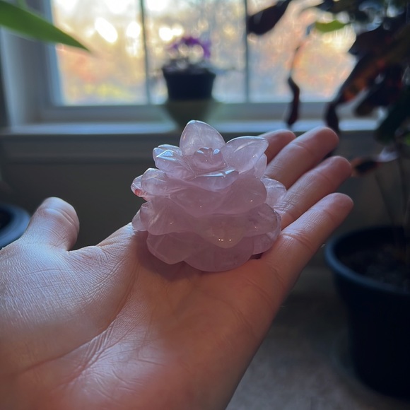 Rose Quartz Succulent - Picture 4 of 4